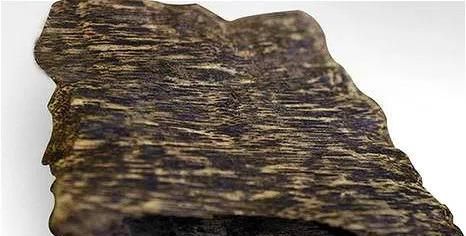 沉香木是什么，沉香白木是什么？图6