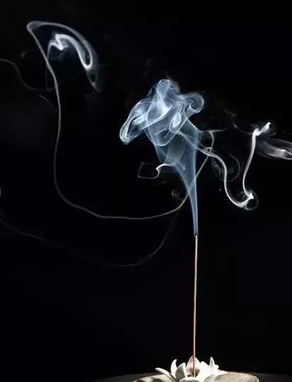 沉香木是什么，沉香白木是什么？图7