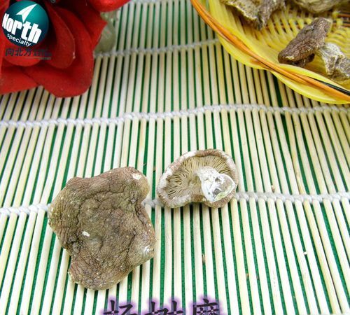 杨树上长的蘑菇能吃吗,叫什么