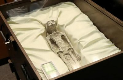 ​外星人？墨西哥议会展出“非人类”化石，紫台专家：尚未发现确凿的外星生命证