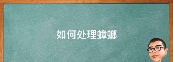 怎么处理蟑螂,如何处理蟑螂图1