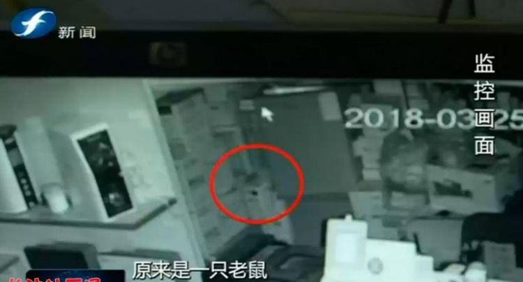 为什么卧室全封闭了还是有老鼠屎