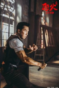 ​《怒火·重案》票房破13.15亿 导演陈木胜遗作获网友评分高