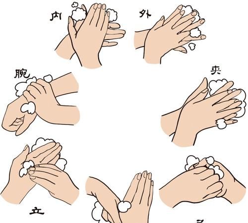 洗手时应认真揉搓双手至少多少秒