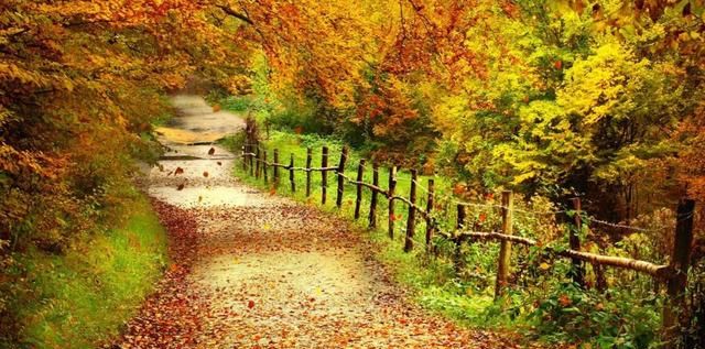 秋季分为哪三部分,季节分别是哪几个月?图3