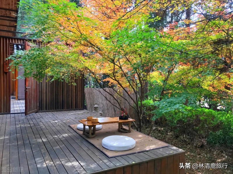 潞西市属于哪个市(潞西市为什么改名芒市)