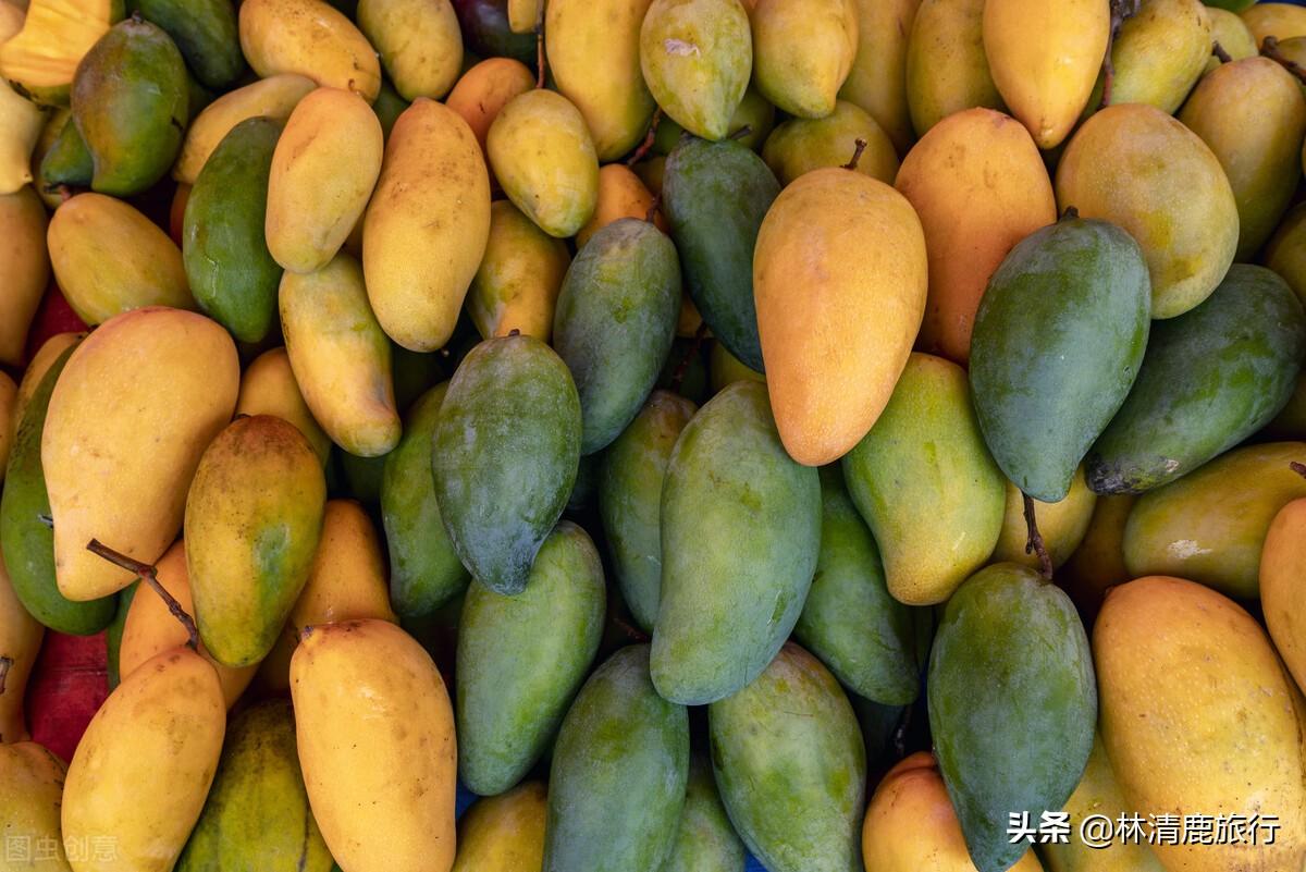 潞西市属于哪个市(潞西市为什么改名芒市)