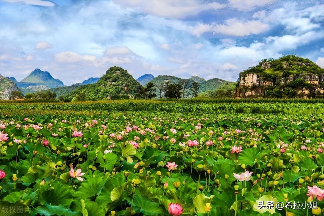 昆明周边附近好玩的地方有哪些(昆明附近有哪些好玩的旅游景点)