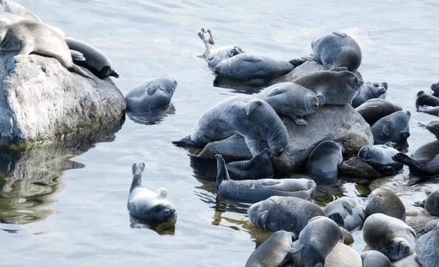 最深的湖泊(世界上最深的湖泊)