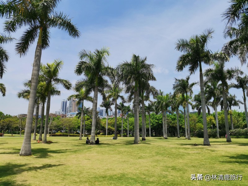 厦门是什么气候类型(厦门的气候特点)