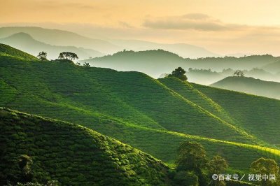 ​江南丘陵地理位置(江南丘陵以种植什么为主)