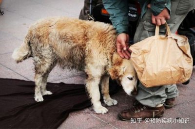 ​穿越红尘的悲欢惆怅,和你贴心的流浪(和你心贴心的流浪)