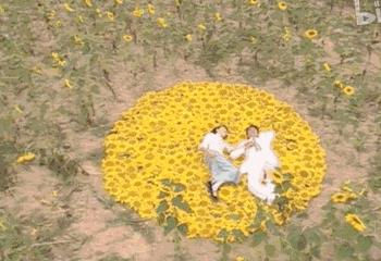 金燕西为何负了冷清秋 知乎（金燕西为什么恨冷清秋）