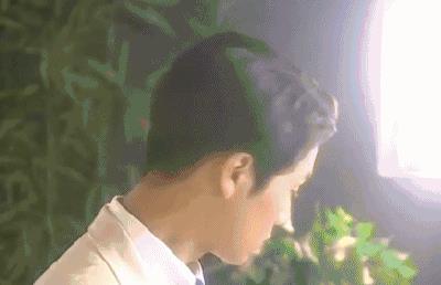 金燕西为何负了冷清秋 知乎（金燕西为什么恨冷清秋）