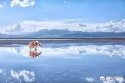 ​德国麦力啤酒(德国麦力啤酒好喝吗)