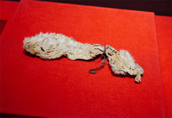 于阗国是现在哪里(于阗国的历史)