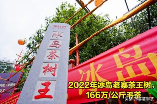 普洱茶的价格是多少钱一饼 普洱茶的价格是多少钱一斤-第1张图片-