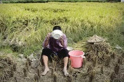 王福重简介图片(那个叫嚣消灭农民,被开除的专家王福重,又成为中央财大教授)