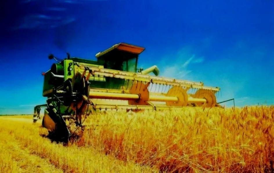 王福重简介图片(那个叫嚣消灭农民,被开除的专家王福重,又成为中央财大教授)