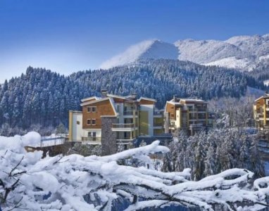 ​坑陶酒业有限公司(陶坑村的历史)