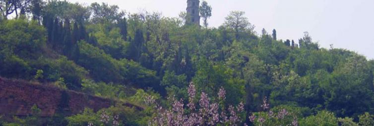 章丘旅游景点大全排名(济南章丘一日游必去景点推荐)