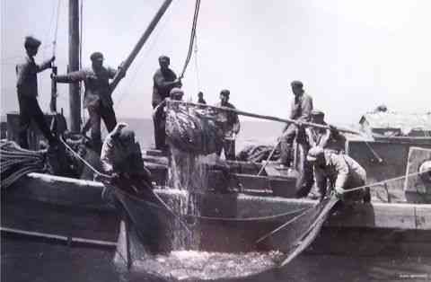 青海湖简介资料(中国最大的内陆湖)