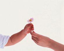 母亲节是在哪个国家成立的_节日起源中国发展 母亲节是在哪个国家成立的_节日起源中国发展