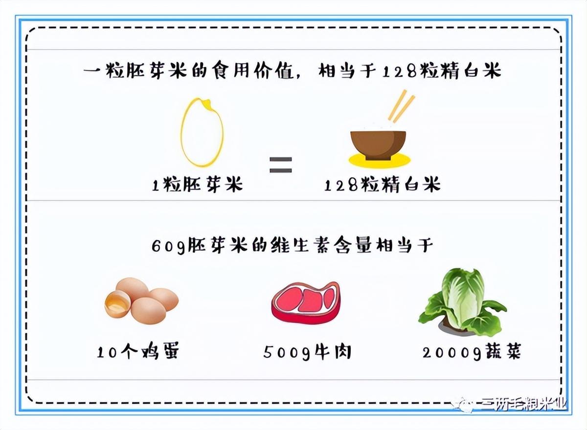 大米的营养成分含量表(大米主要成分是什么)