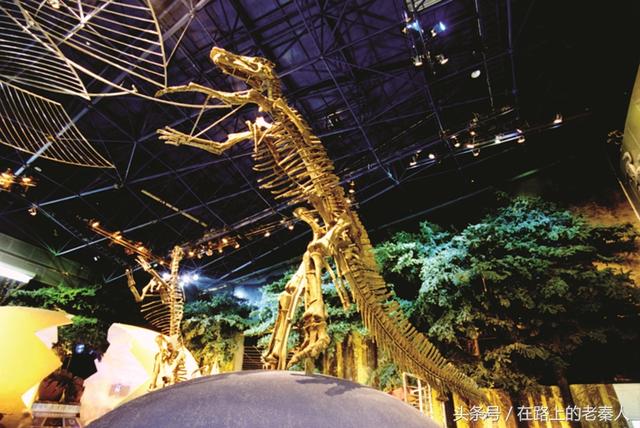 常州中华恐龙园在哪(常州中华恐龙园)(13)