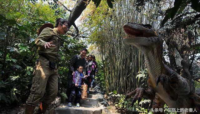 常州中华恐龙园在哪(常州中华恐龙园)(17)