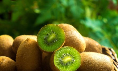 餐前吃个奇异果,可控制血糖