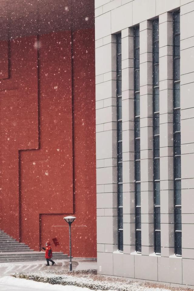 世界上优秀的女性（每一位这样的女性）(41)