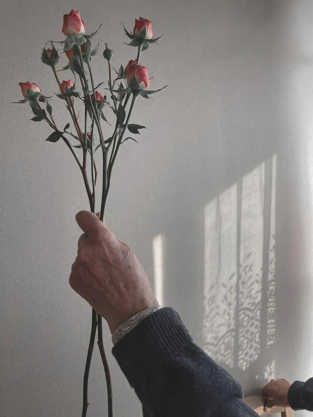 世界上优秀的女性（每一位这样的女性）(13)