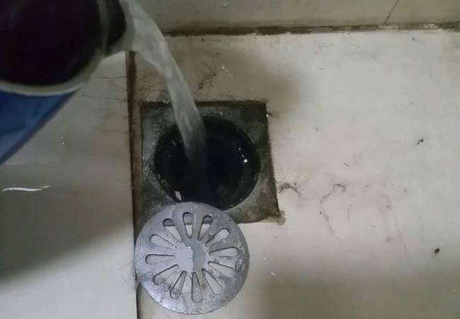 卫生间有蛆虫爬出来怎么办(厕所的蛆虫老往上爬怎么解决)