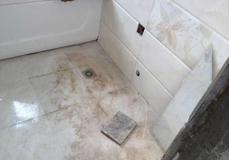 卫生间有蛆虫爬出来怎么办(厕所的蛆虫老往上爬怎么解决)