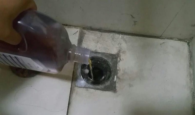 卫生间有蛆虫爬出来怎么办(厕所的蛆虫老往上爬怎么解决)