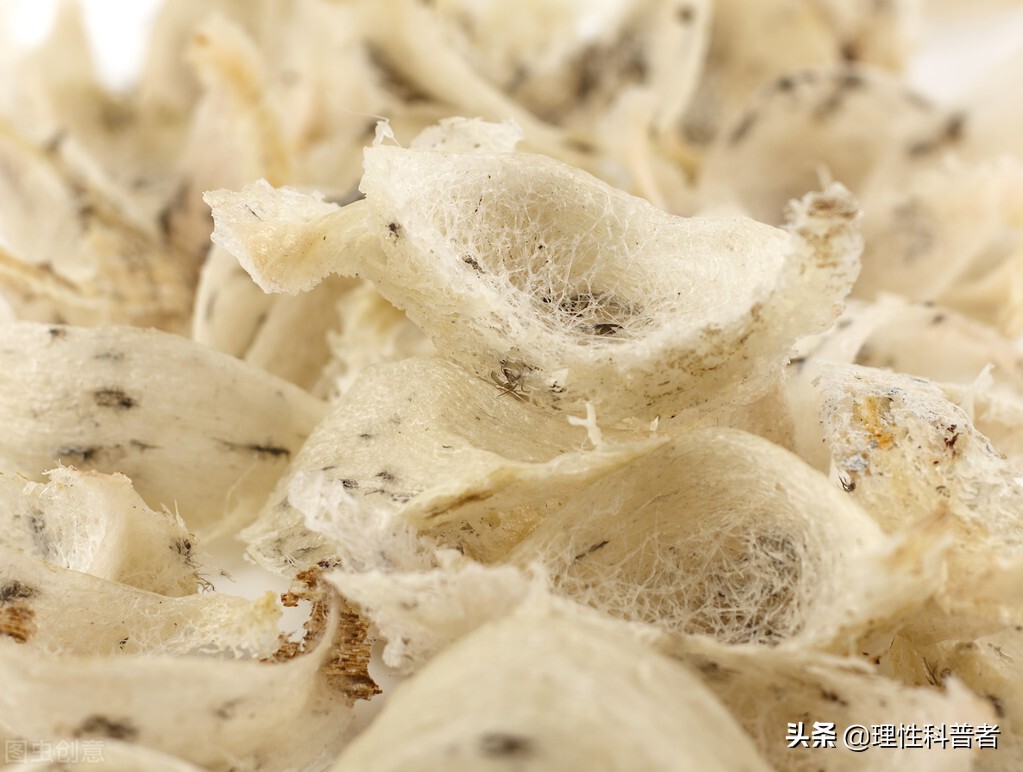 燕窝是什么东西,是怎么形成的(燕窝是怎么形成的)