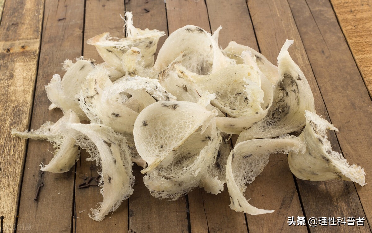 燕窝是什么东西,是怎么形成的(燕窝是怎么形成的)