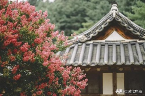 独学而无友则孤陋而寡闻的理解(独学而无友 则孤陋而寡闻出自哪里)-第2张图片-