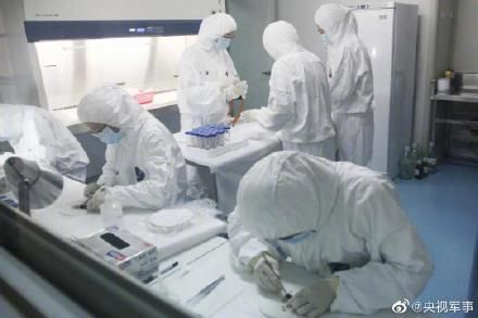 如何做DNA鉴定(dna鉴定哪里可以做)-第2张图片-