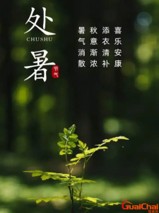 ​处暑节气的含义是什么？处暑是什么季节