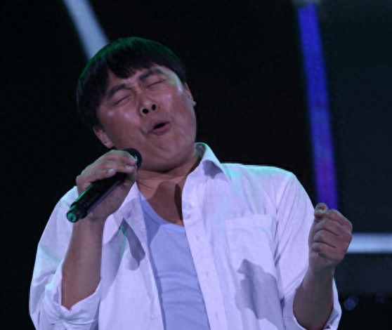 12年来星光大道来历届年度总冠军