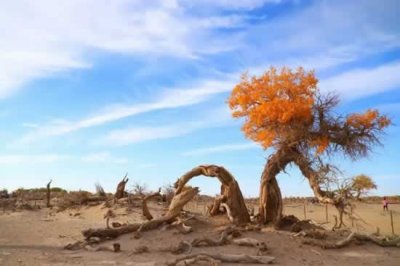 ​和大家聊聊生离死别什么意思