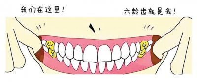 ​大牙换不换 孩子换牙的秘密，这颗大牙终生不换