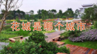​花城是哪个城市的别称 泉城是哪个城市