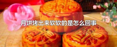 ​月饼烤出来是软的吗还是硬的 月饼烤出来是软的吗为什么