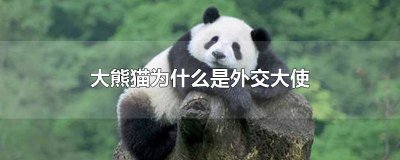​大熊猫被称为中外友谊的和好大使对吗 大熊猫一直被称为中国的友好大使