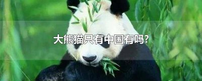 ​大熊猫是只有中国才有吗 大熊猫只是中国有吗