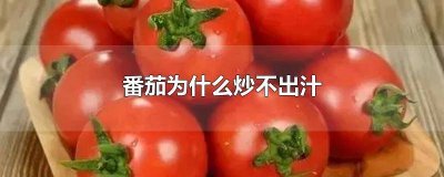 ​番茄炒不出汁是怎么回事 炒番茄为什么炒不出汁