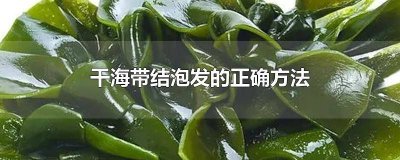 ​干海带丝怎么泡发最科学 怎么样泡发干海带丝